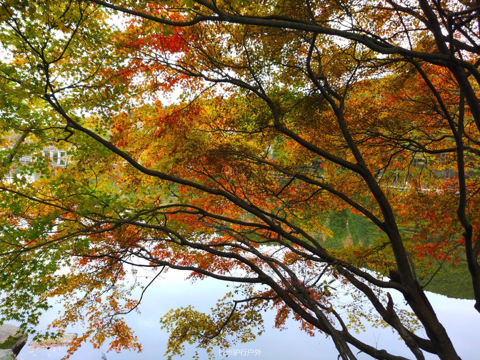 微信图片_2018110615294310