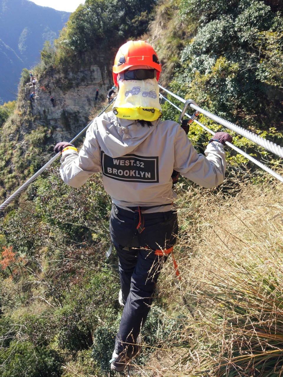 微信图片_2018110615423312