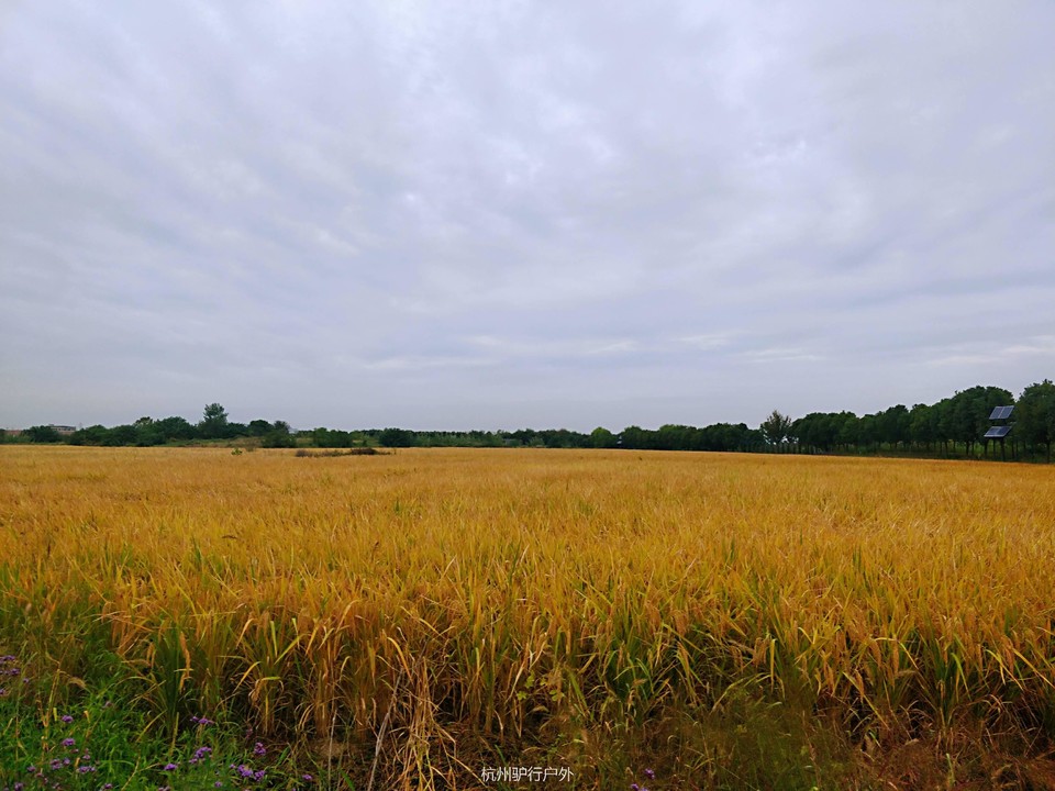 微信图片_201811061601343