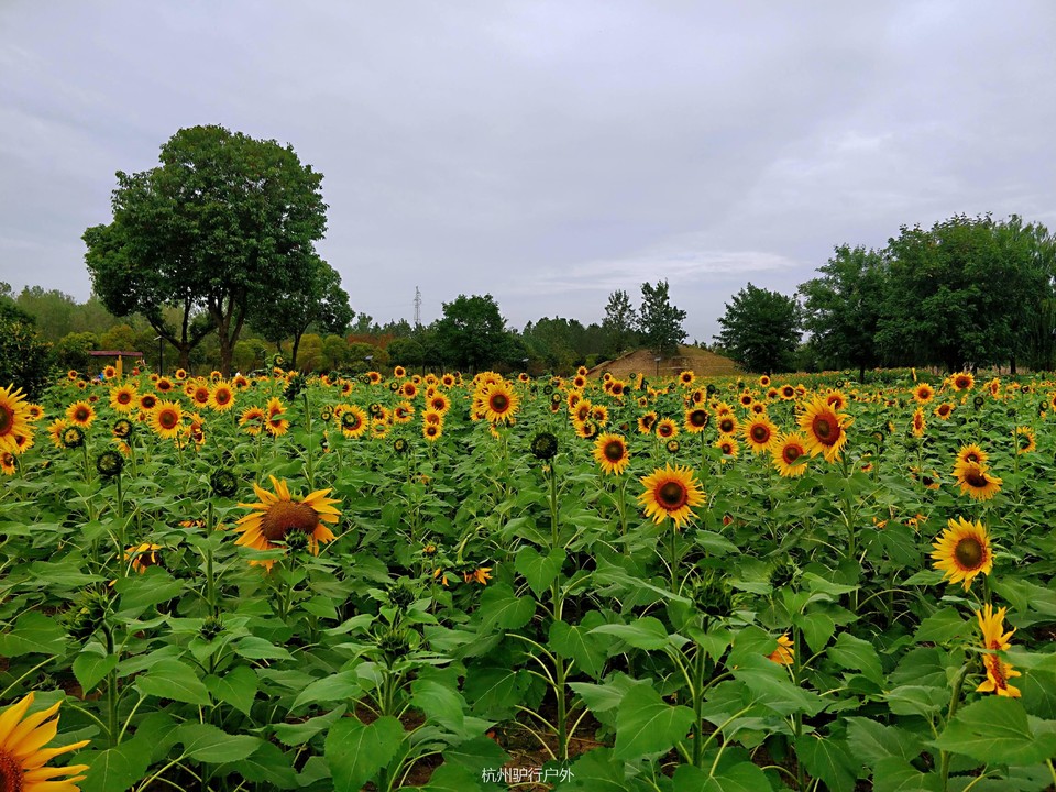 微信图片_201811061601344