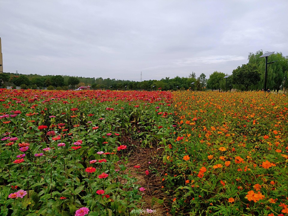 微信图片_201811061601345