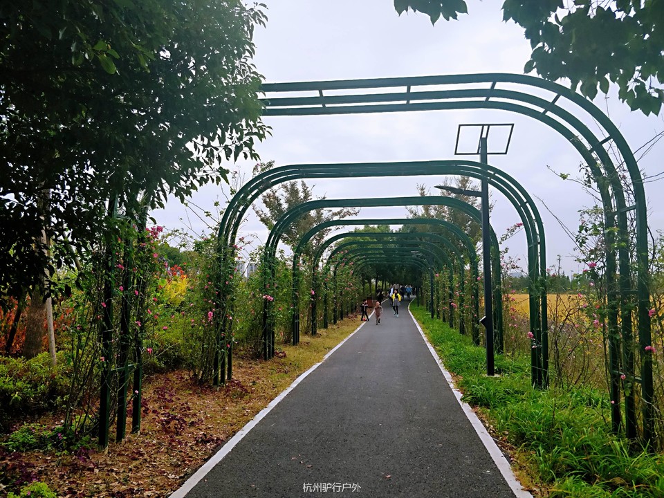 微信图片_201811061601346