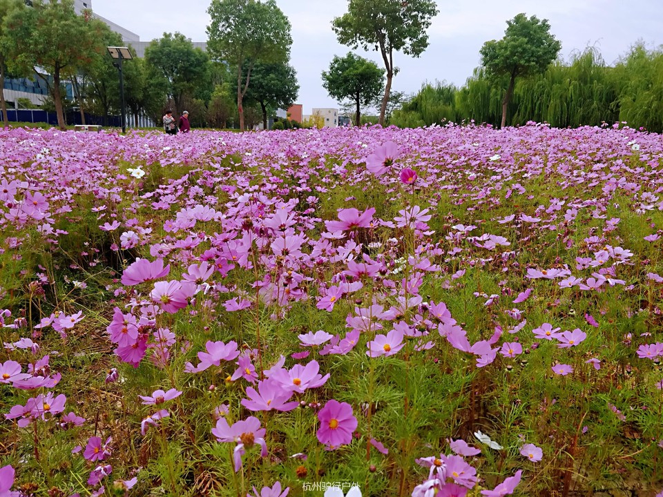 微信图片_201811061601347