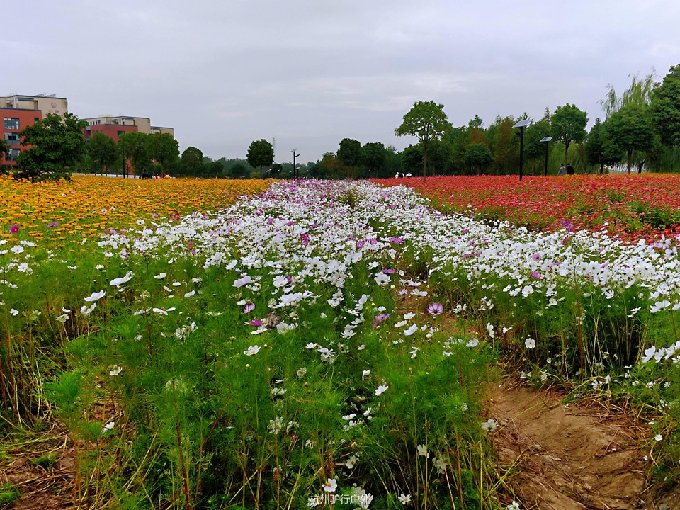 微信图片_201811061601348