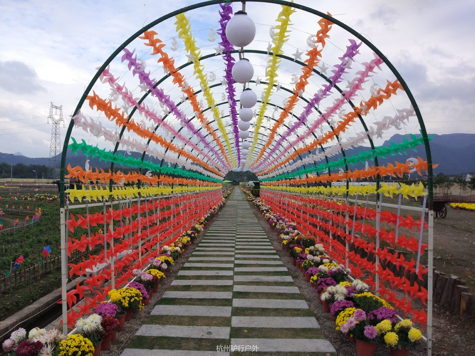 微信图片_20181106161626