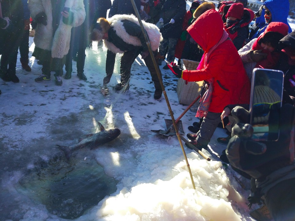 微信图片_201901281309563