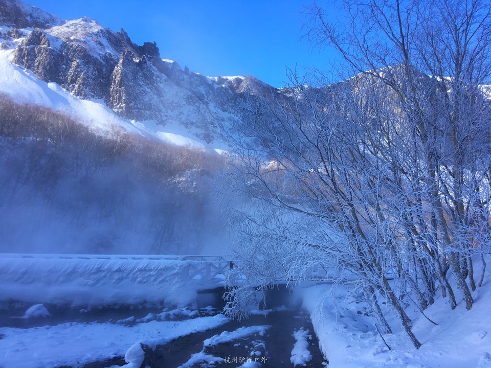 微信图片_2019012813095618