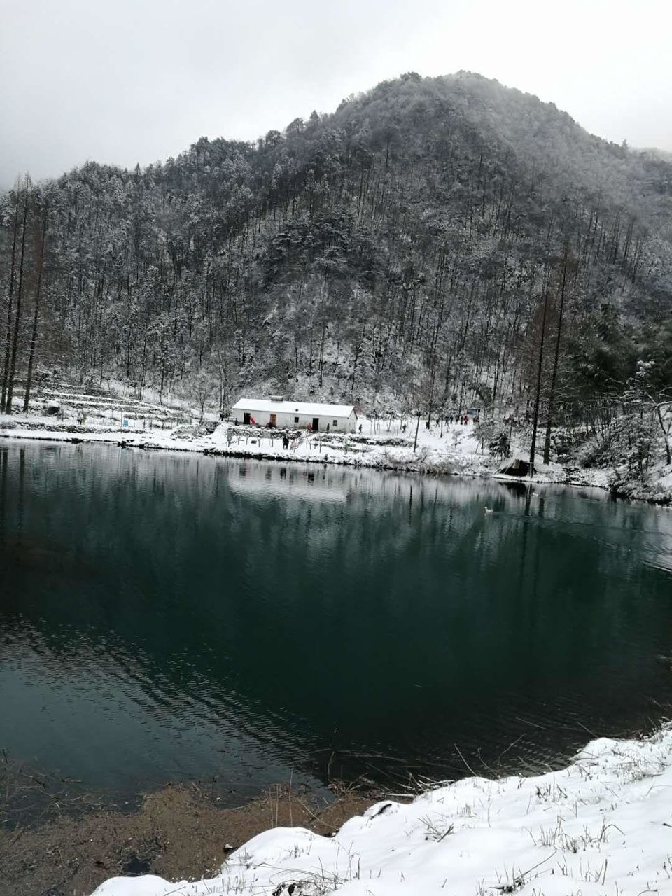 微信图片_201901281317204