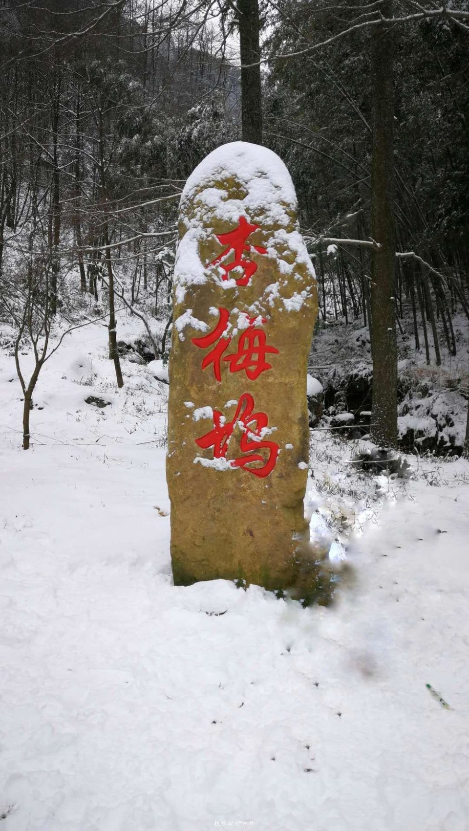 微信图片_2019012813172010