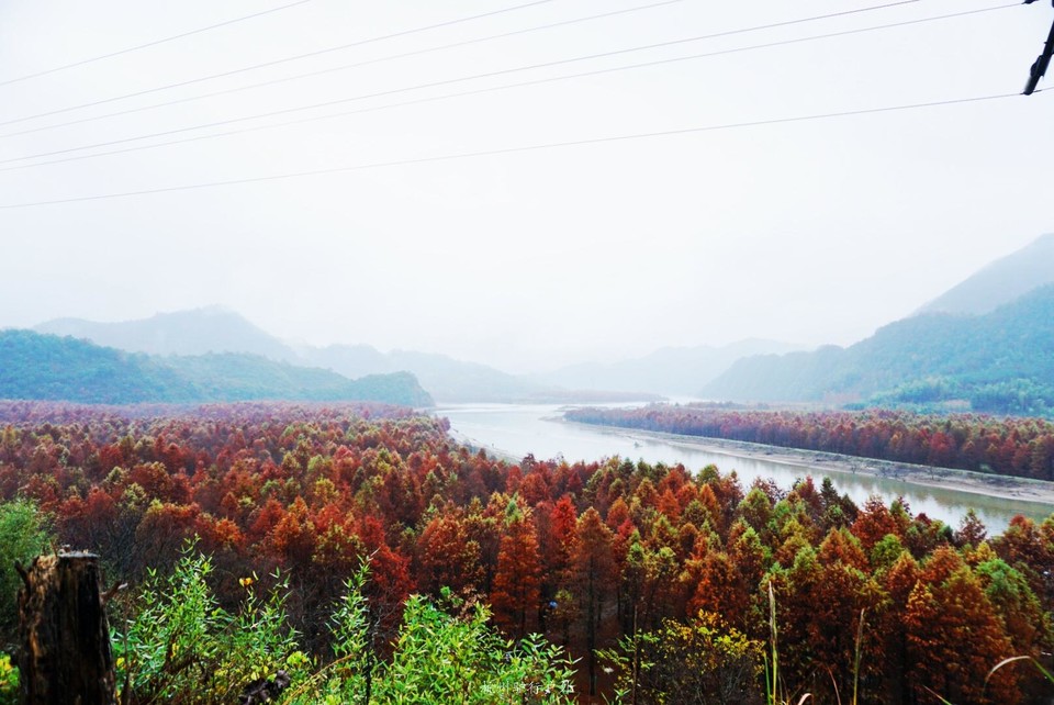 微信图片_201901281413414