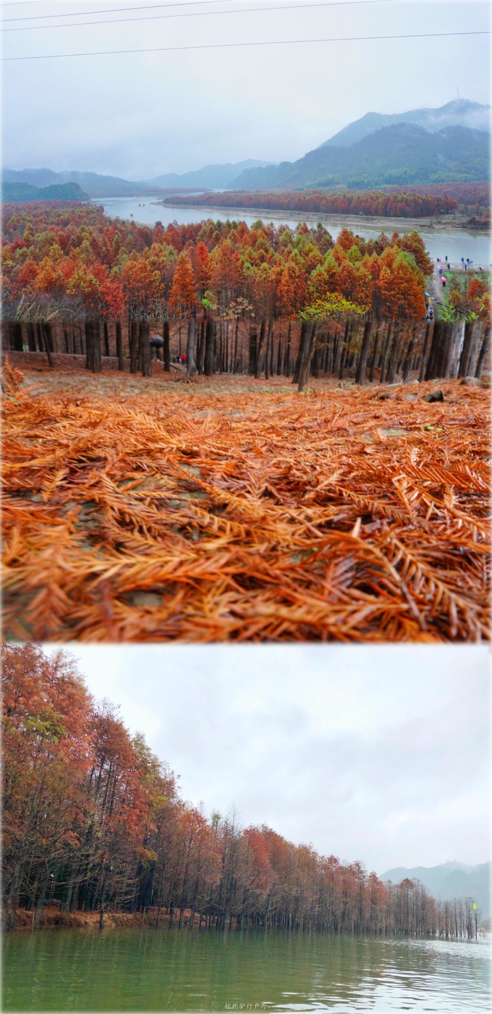 微信图片_201901281413418