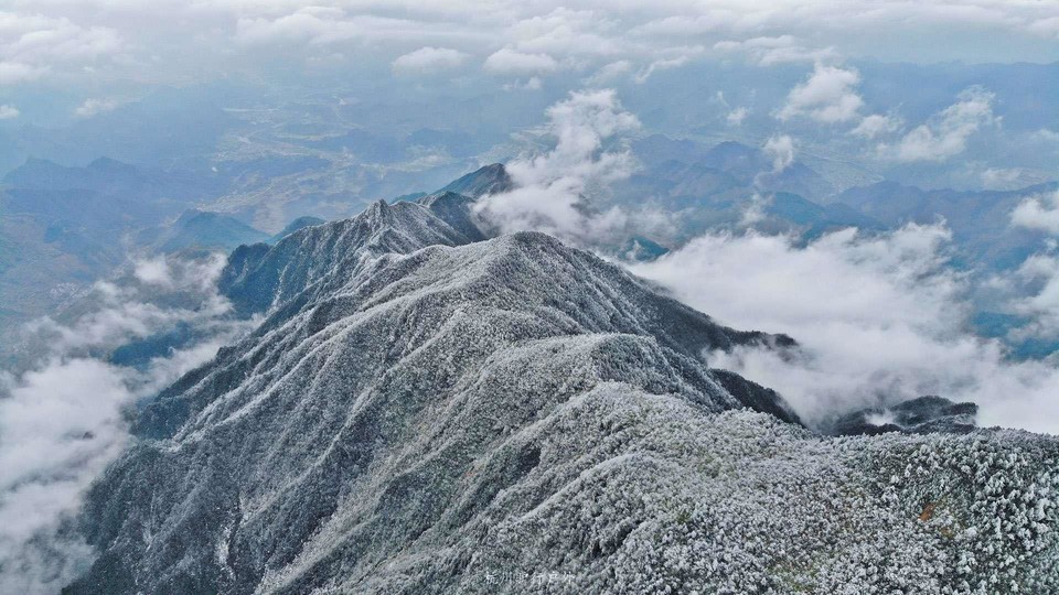 微信图片_20190515115828