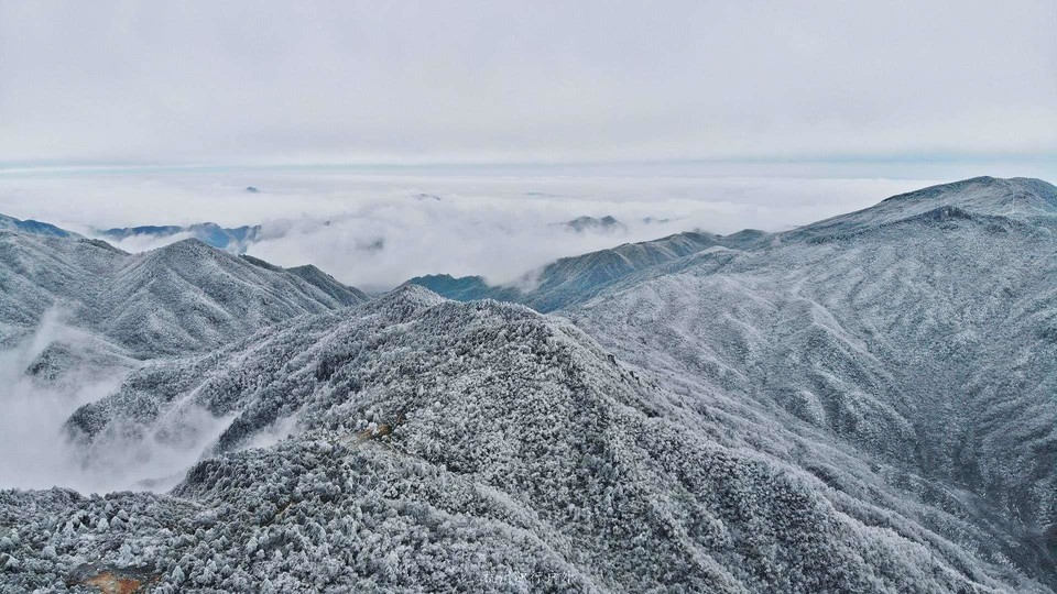 微信图片_201905151158283