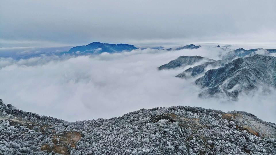 微信图片_201905151158285