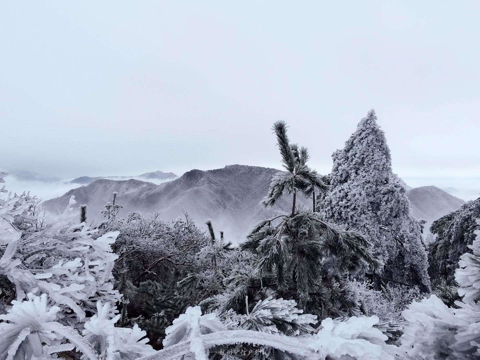 微信图片_201905151158286