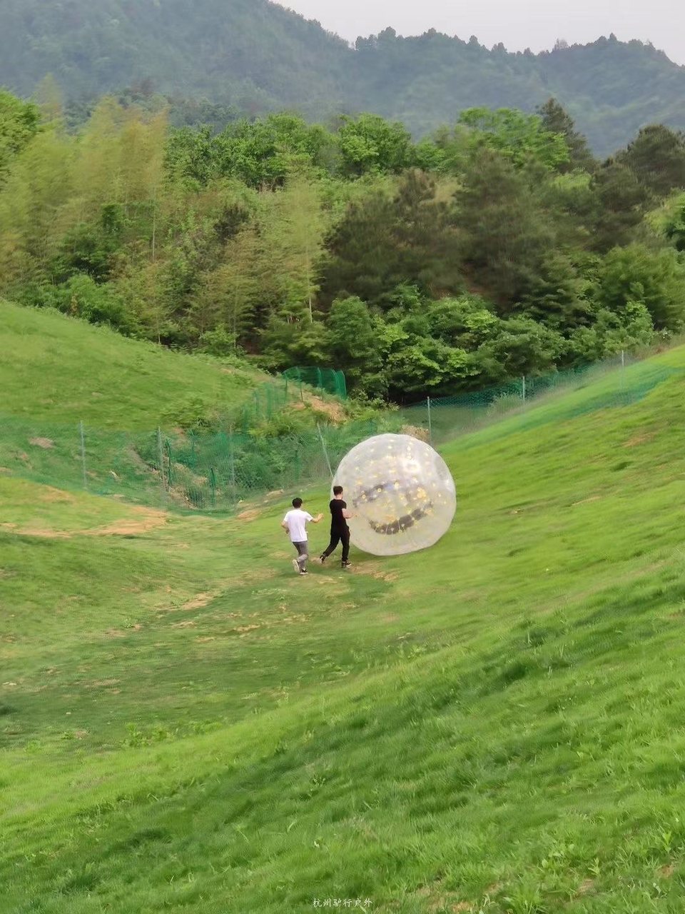 微信图片_201905151227007