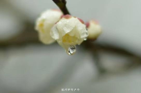 微信图片_201905151207246