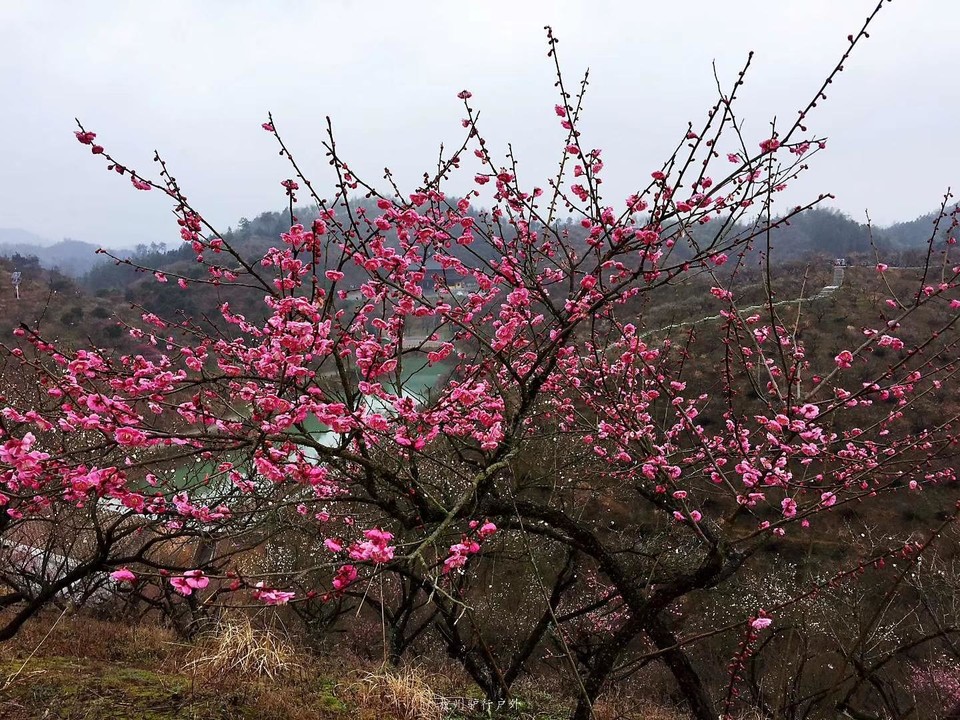 微信图片_201905151207247