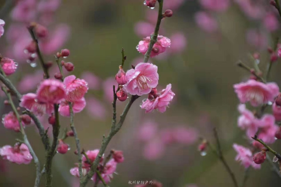 微信图片_201905151207248