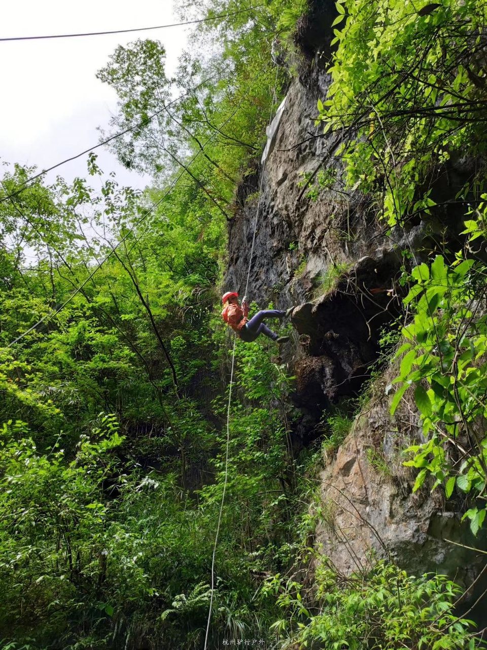 微信图片_201905151227481