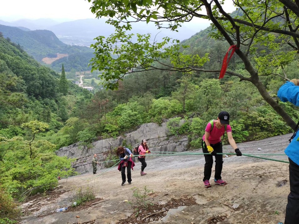 微信图片_201905151227484