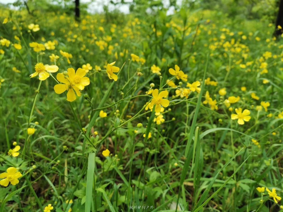 微信图片_201905151227485