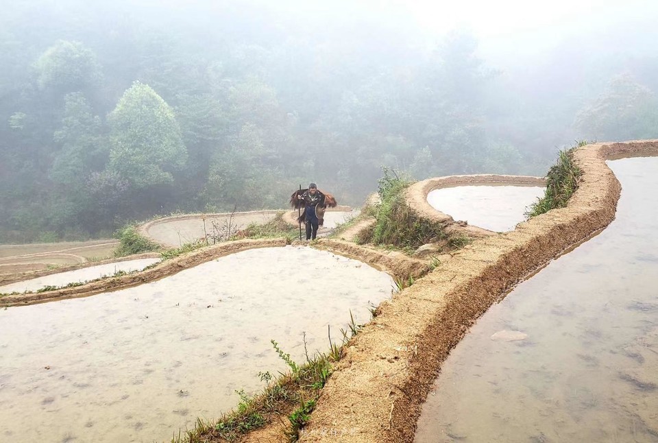 微信图片_201905151218322