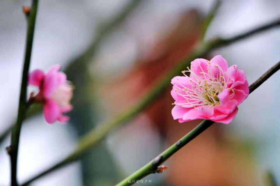 微信图片_201905151205551