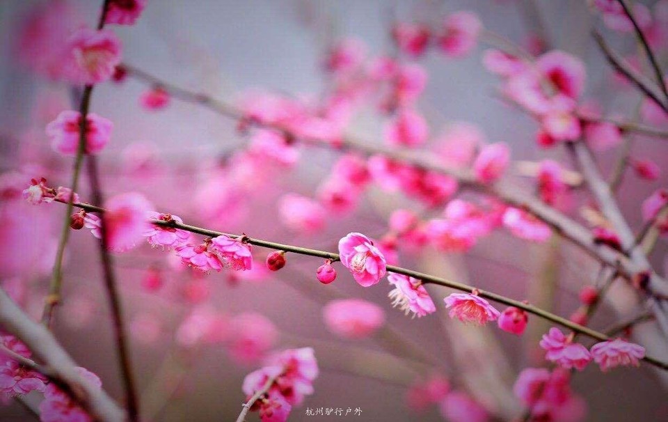 微信图片_201905151205552