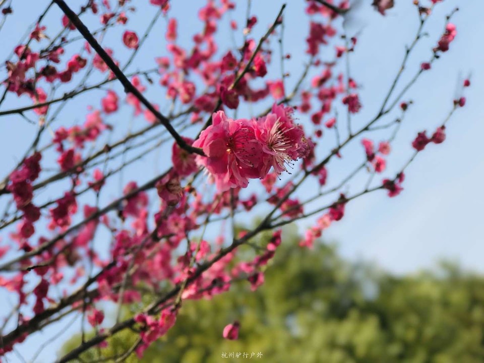 微信图片_201905151205556