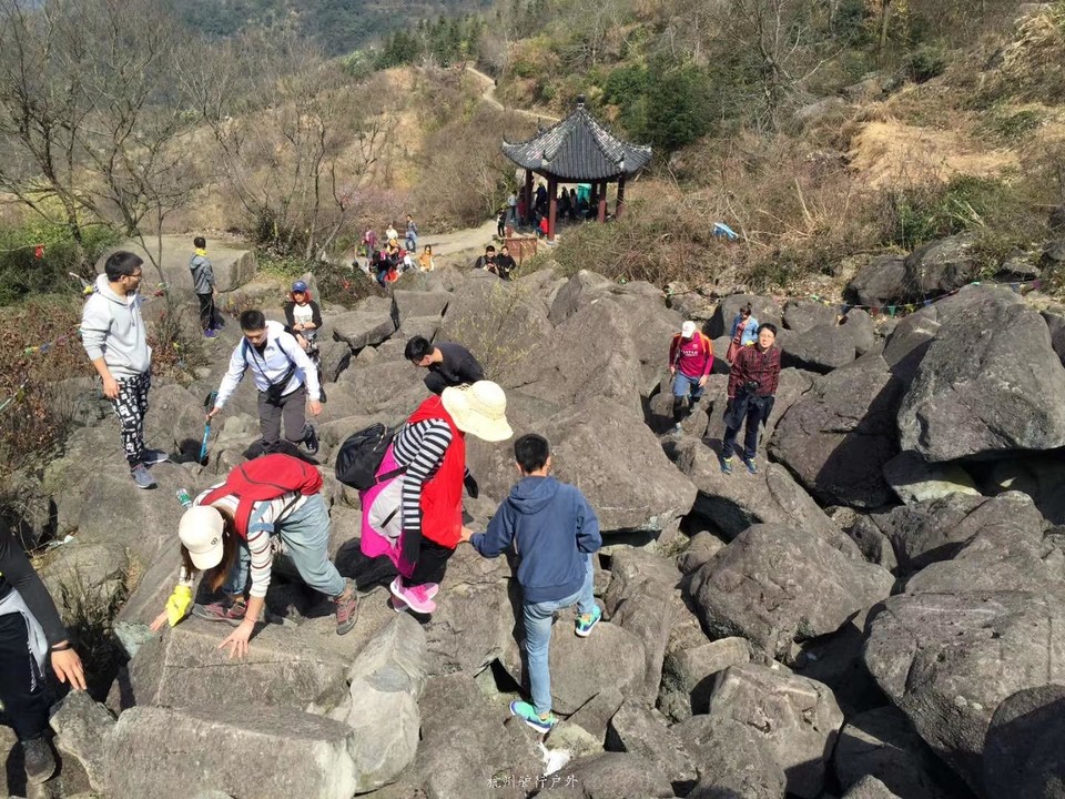 微信图片_201905151211015