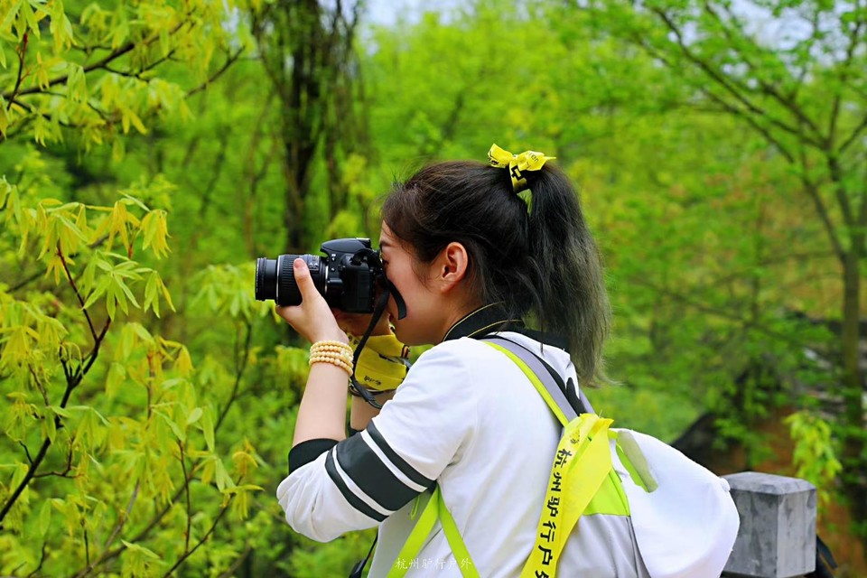 微信图片_201905151226291