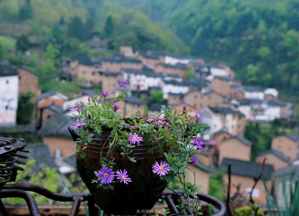 微信图片_201905151226298