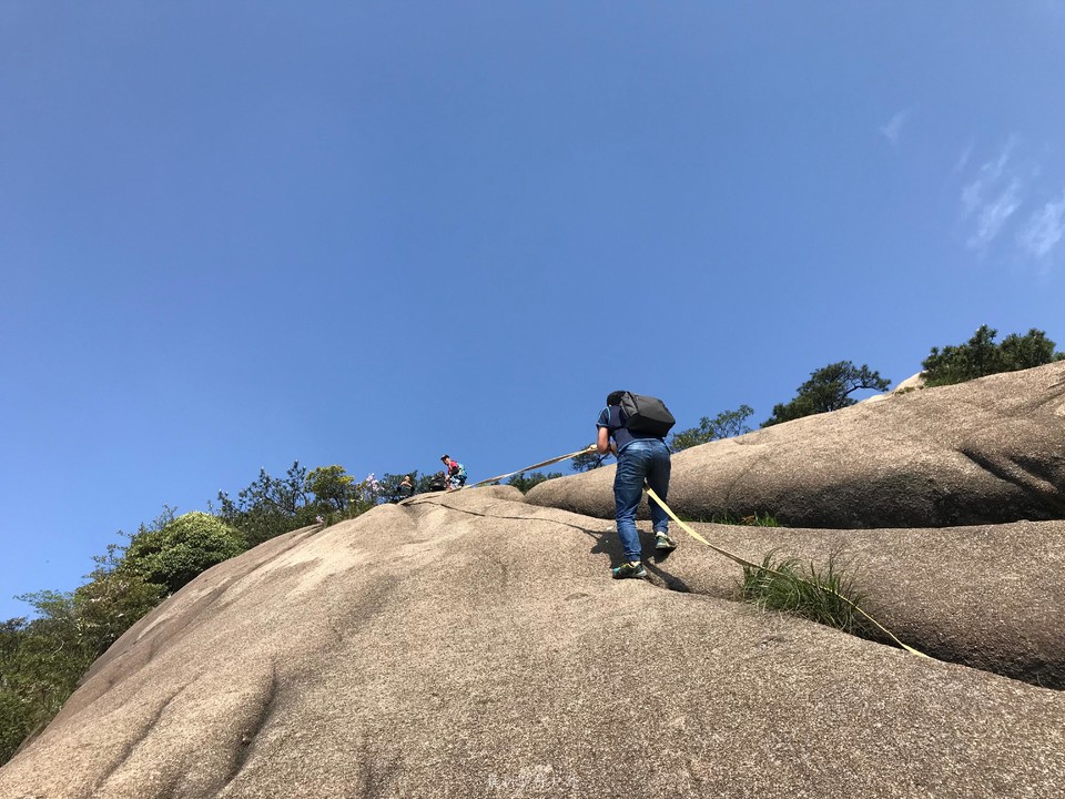 微信图片_201905151304542