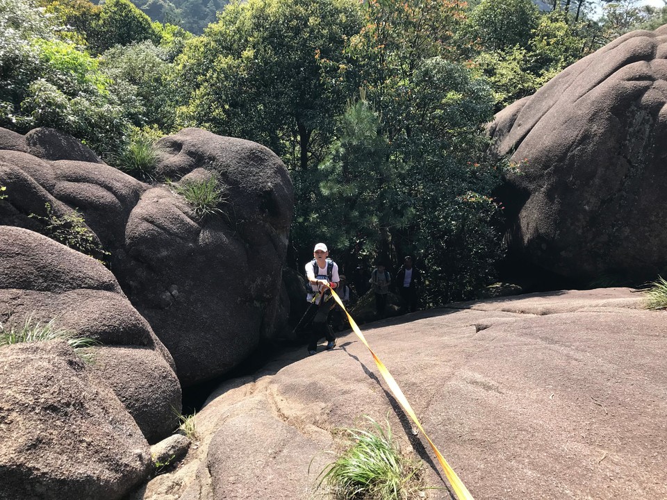 微信图片_201905151304543