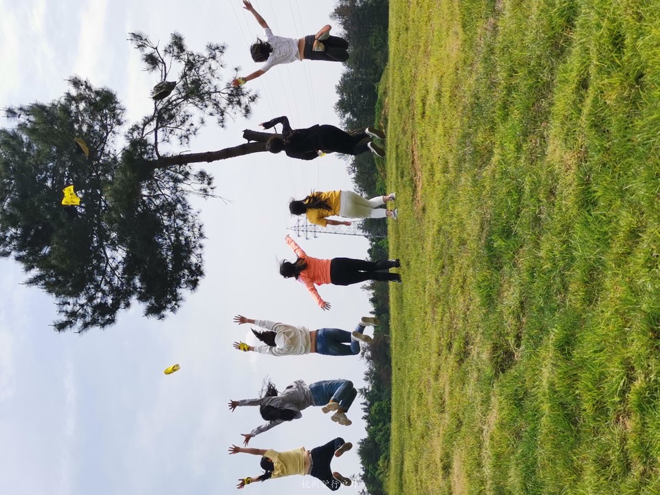 微信图片_201905151305152