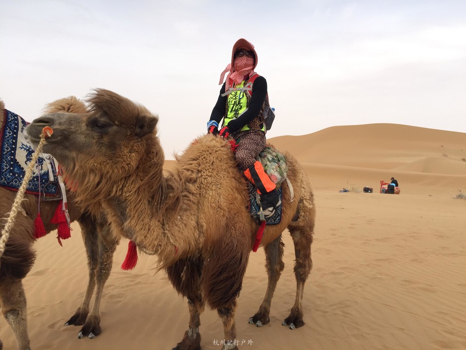 微信图片_201904101841143