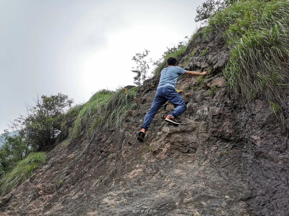 微信图片_2019080713053724