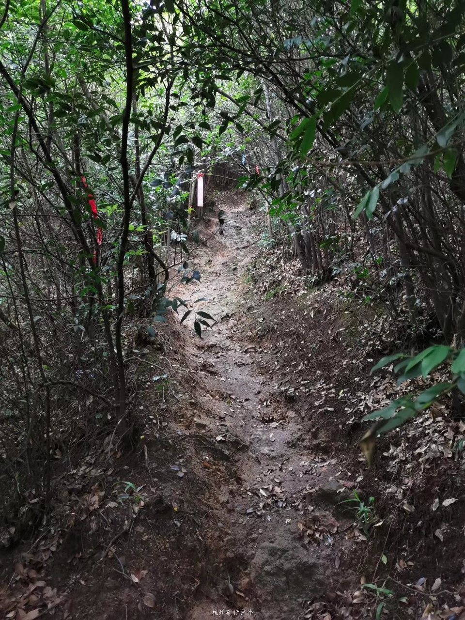 微信图片_2019080713053728