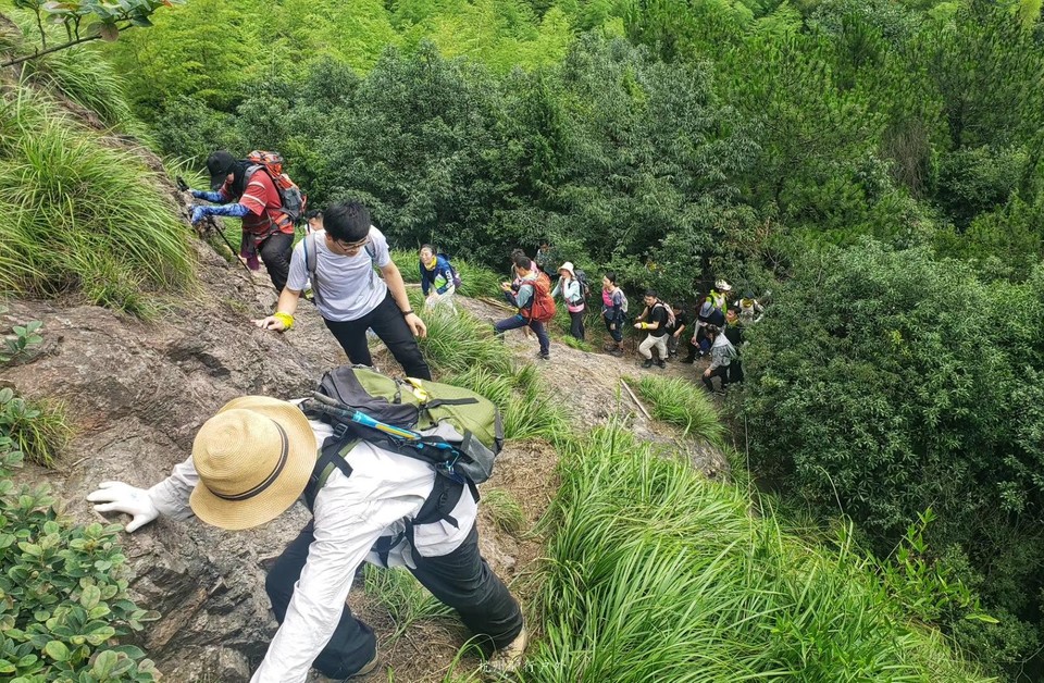 微信图片_2019080713053734