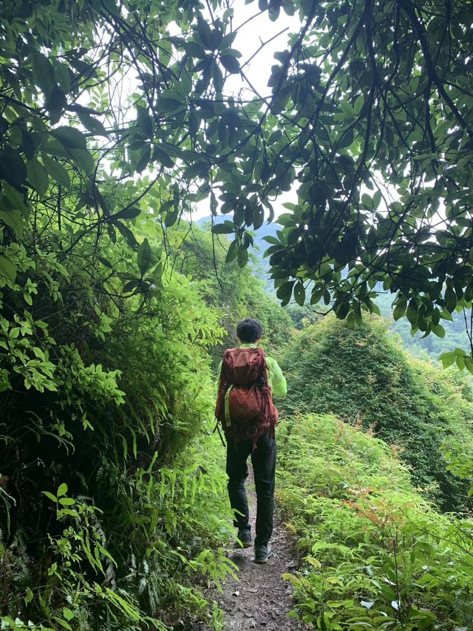 微信图片_201908071257478