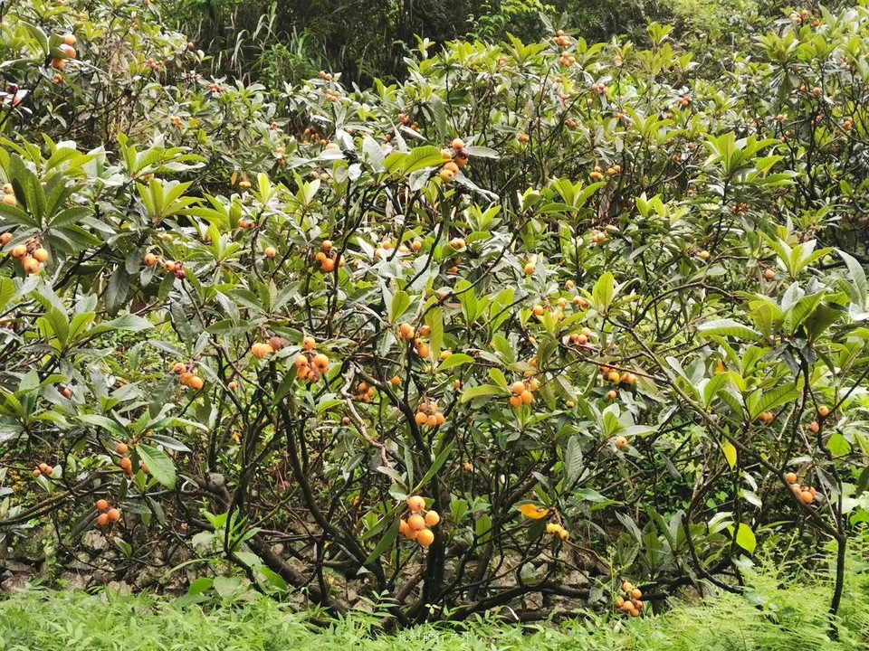 微信图片_2019080712574711