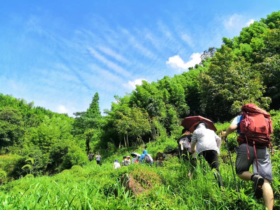 微信图片_201908071314154