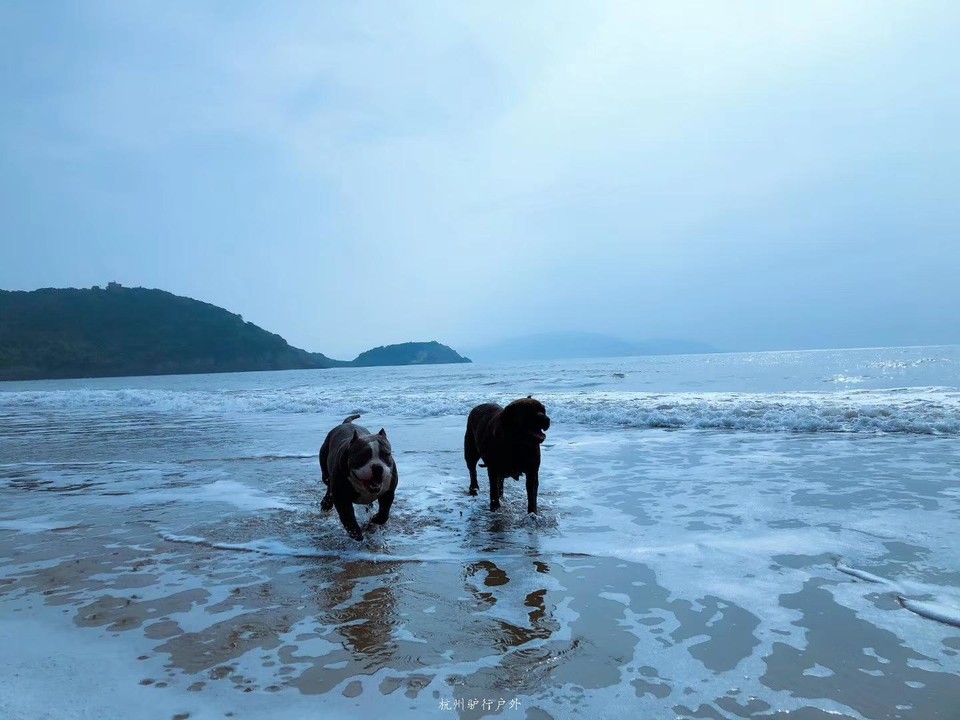 微信图片_201908071305376