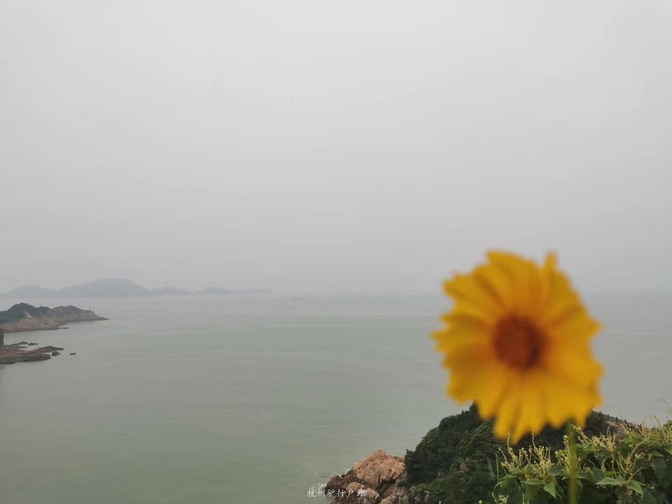 微信图片_2019080712574716