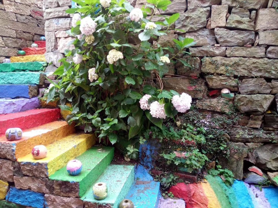 微信图片_2019080712574720