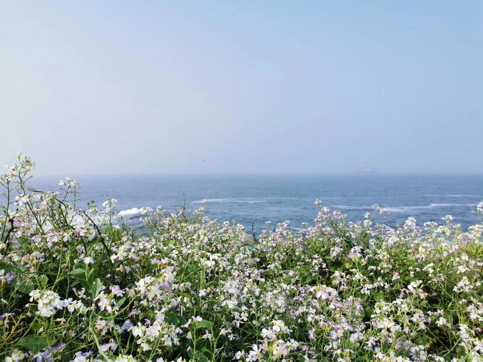 微信图片_201908071257472