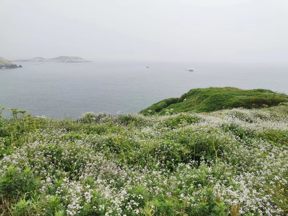 微信图片_201908071257474