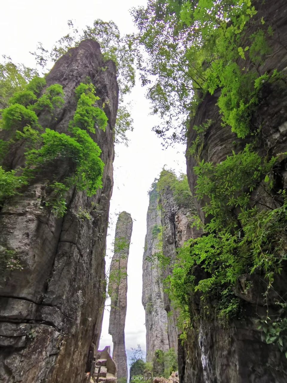 微信图片_201908071322221