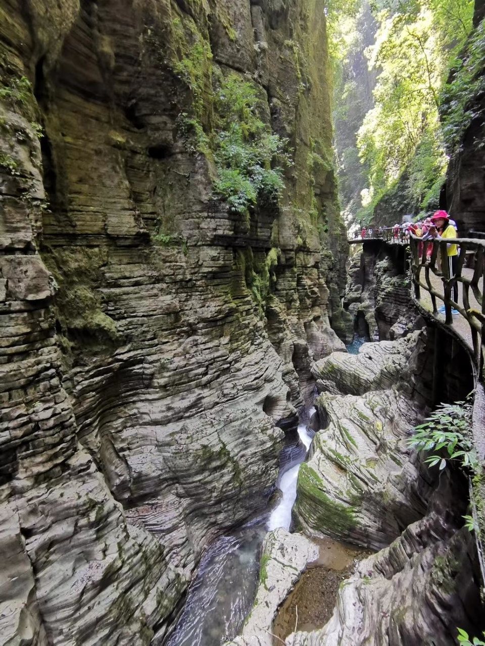 微信图片_201908071322224